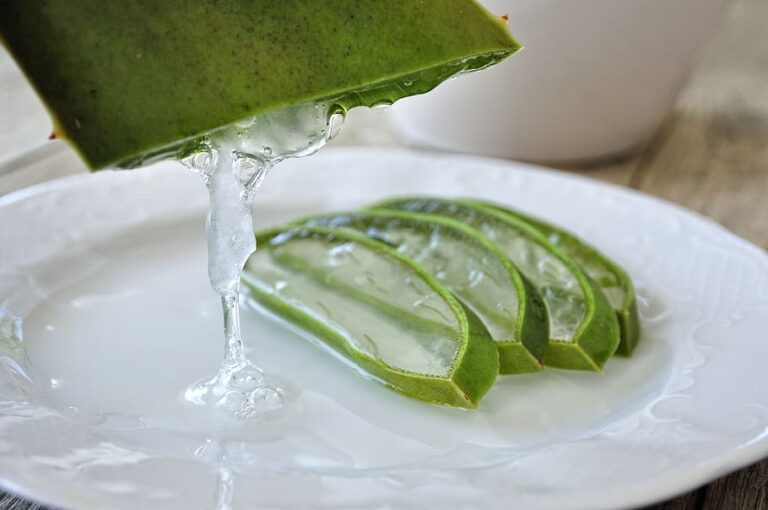 Aloe Vera for Weight Loss How To Use Aloe Vera To Lose Weight My